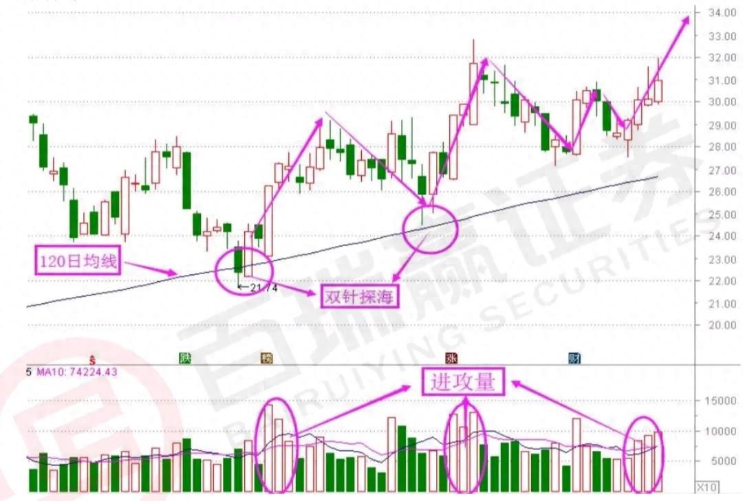 中线玩法单双针探底